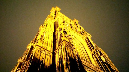 cattedrale di notre dame