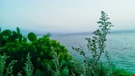 Viaggio nella " SICILIA incantata dei poeti"