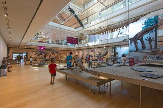 MUSE - Museo delle Scienze di Trento Trento pio3 / Shutterstock.com pio3 / Shutterstock.com