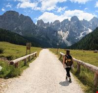 Pale di San Martino Pale di San Martino
