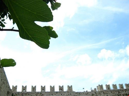 Castello dell'Imperatore Prato CileSuns92 - Attribution-NoDerivs (http://creativecommons.org/licenses/by-nd/2.0/) CileSuns92
