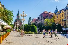 Timisoara