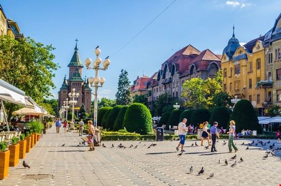  Timisoara pavel dudek / Shutterstock.com pavel dudek / Shutterstock.com