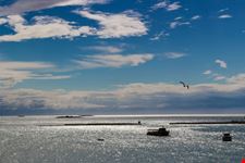 porec immersioni