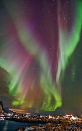 Reine