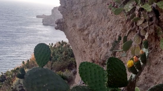 milazzo , sua natura