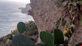 milazzo , sua natura