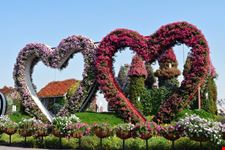 dubai miracle garden