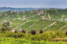 Barbaresco