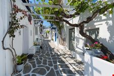 Paros