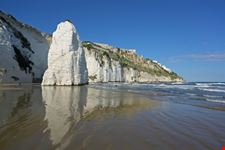 Spiaggia di Pizzomunno