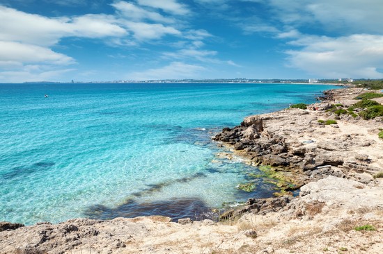 Mare