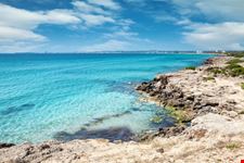 Mare