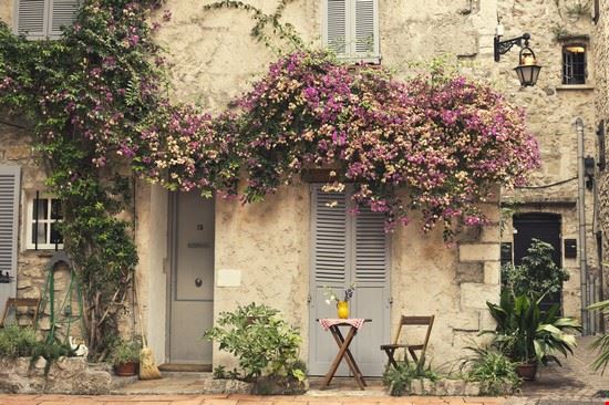 Musei escursioni,  Antibes Cannes Patricia Chumillas / Shutterstock.com Patricia Chumillas / Shutterstock.com