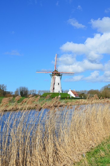 Damme