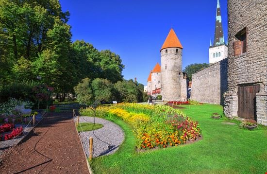  Tallinn Vladimir Sazonov - Shutterstock.com Vladimir Sazonov