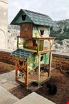 Cat Village