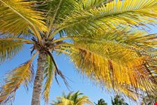 Cayo Largo