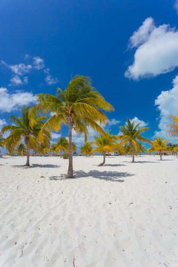 Cayo Largo
