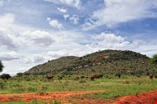 Parco Nazionale Tsavo Est