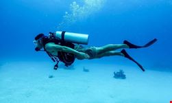 scuba diving