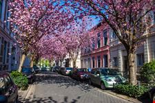 heerstrasse bonn