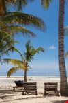 Watamu