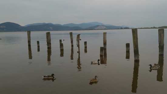 Relax sul lago