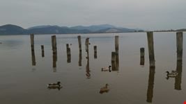 Relax sul lago