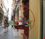 centro storico murcia centro storico murcia