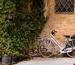 Buonconvento Buonconvento