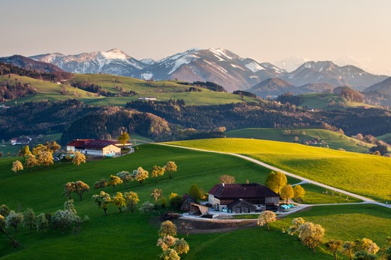 Alpi