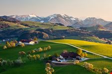 Alpi
