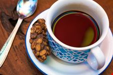 bali kopi luwak