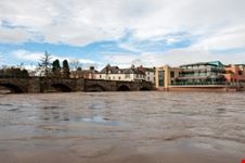 hereford hereford