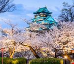 Osaka Osaka