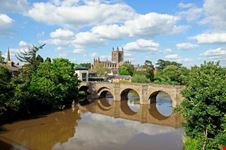 hereford hereford