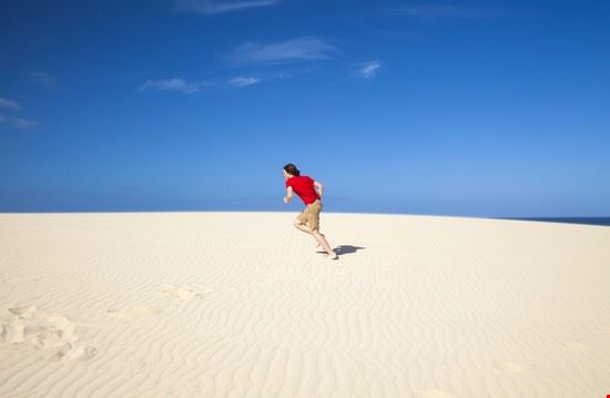  Fuerteventura Tamara Kulikova - Shutterstock.com Tamara Kulikova