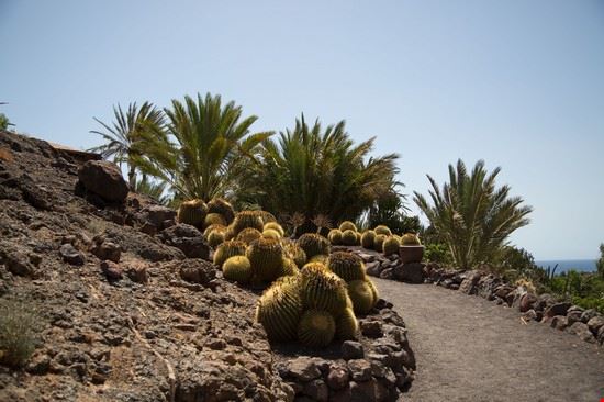 Oasis park - Dagmar Breu - Dagmar Breu - Shutterstock.com