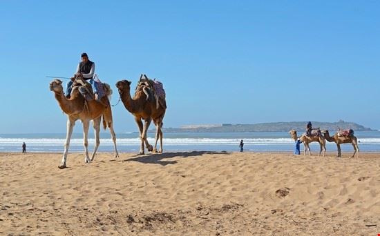  Essaouira LukaKikina / Shutterstock.com LukaKikina / Shutterstock.com
