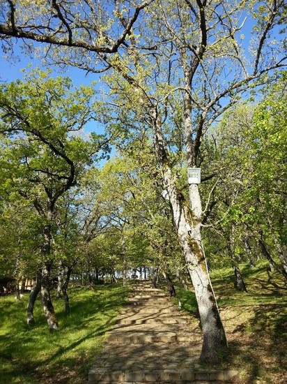Il parco della Grancia