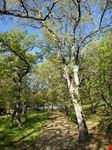 Il parco della Grancia