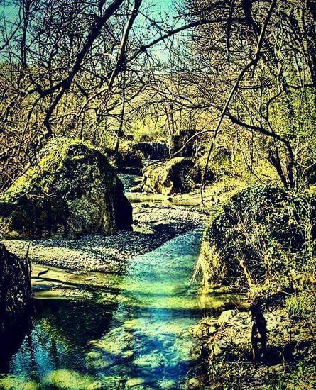 Il parco della Grancia