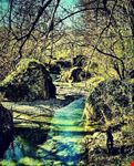 Il parco della Grancia