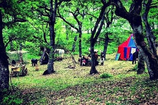Il parco della Grancia