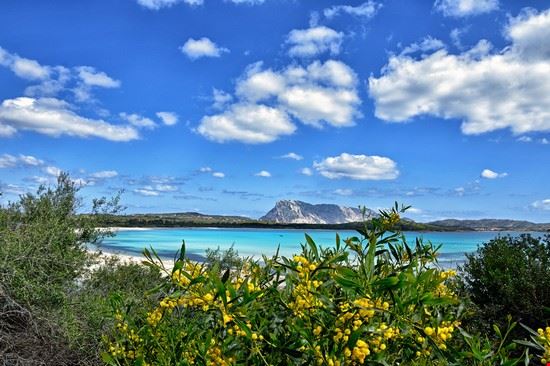  San Teodoro LPuddori - Shutterstock.com LPuddori