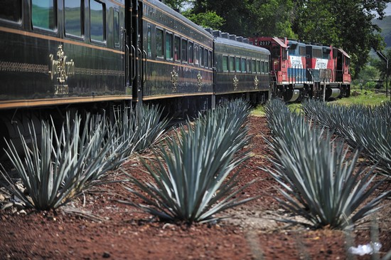 Tequila Express