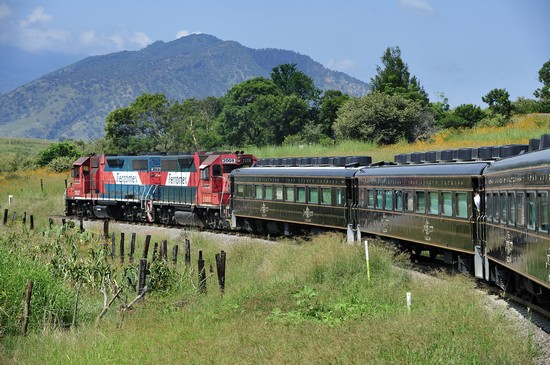Tequila Express