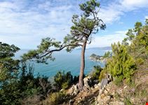 Punta Manara