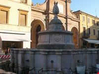 rimini la fontana della pigna a rimini